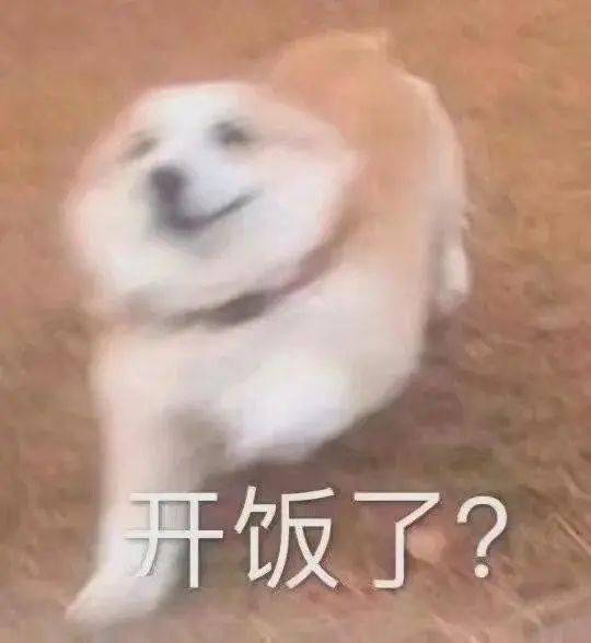 当代干饭狂魔有多可怕直接给我看馋了