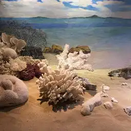  福建土楼大鱼海棠原型