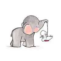  微信头像用兔子好么