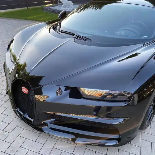 分享图片贝格海姆,bugattichiron 分享图片贝格海姆,bugattichiron