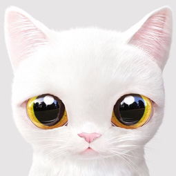  暖暖