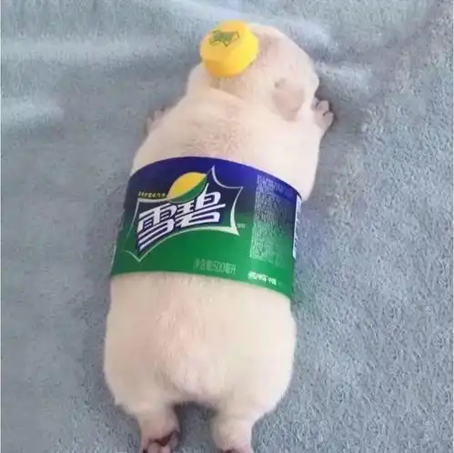  一眼惊艳到你的情侣头像网名