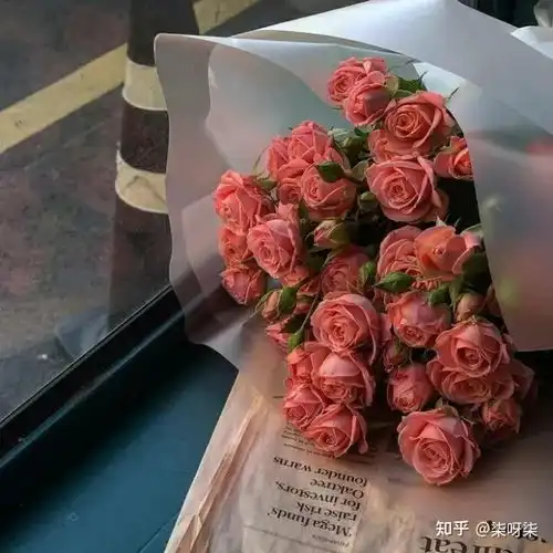  落日余晖,和你一起