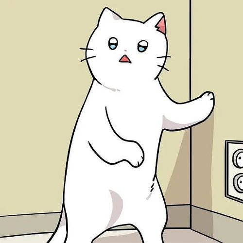 卡通猫捏脸情侣头像短袖