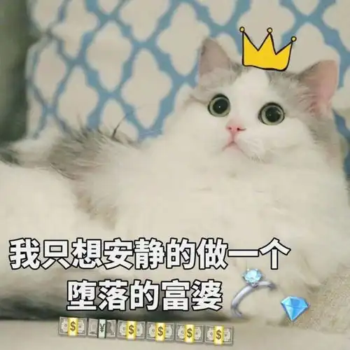 小白人头像表情包图片每