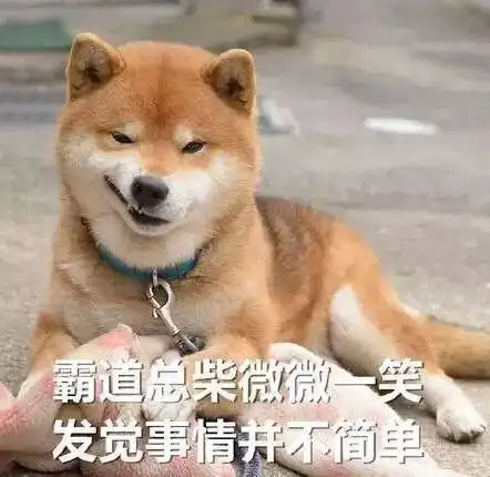 七夕,看情侣cp和单身汪的互怼 七夕,看情侣cp和单身汪的互怼