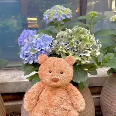  超级可爱讨人喜欢的巴塞罗那熊微信qq头像大全,喜欢的自取