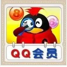  qq会员头像怎么换