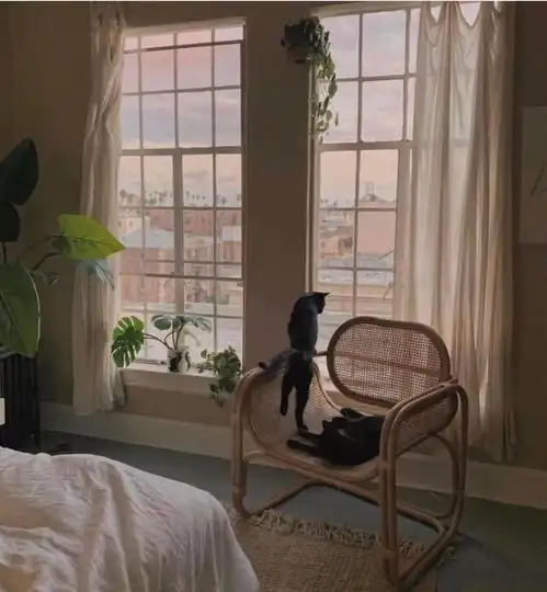  明明很受欢迎,为什么拍照总是不上镜