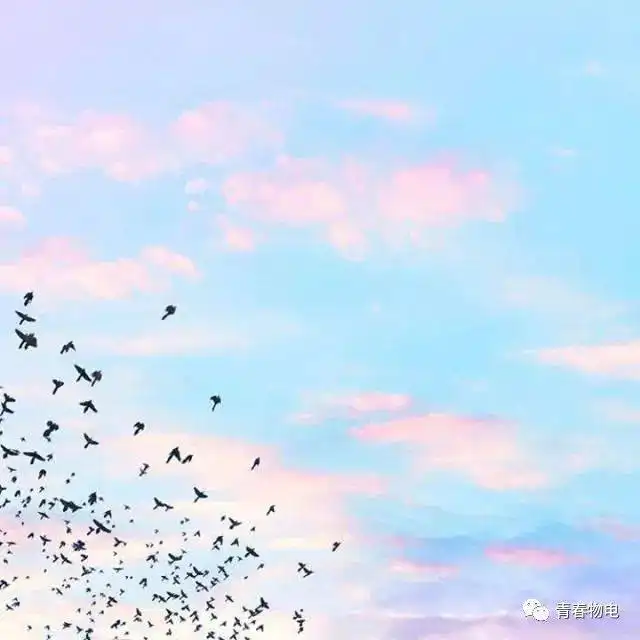 嘿你有一张观影票 嘿你有一张观影票