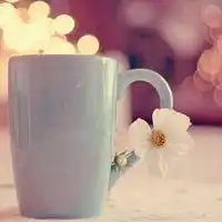  小物品唯美清新头像图片微信头像图片大全