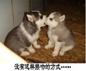  笑一日每了对就读来过反你