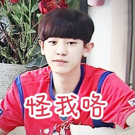  朴灿烈吴世勋当抑郁少女遇上绝症少年番外