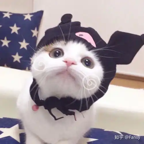 头像猫咪图片情侣头像爱