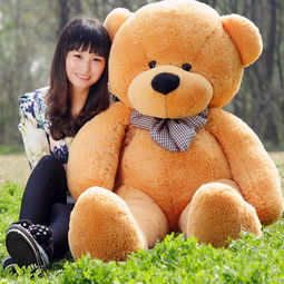  泰迪熊布娃娃毛绒玩具19元