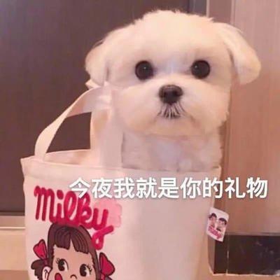  2021年送男友礼物攻略预算1500内送各类型男友的七夕情人节礼物推荐黑科技创意有诚意生日礼物周年礼物新年礼物6月更新