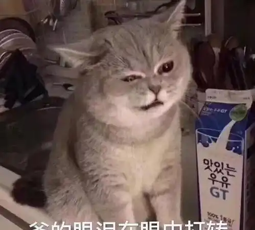  汪涵怼王一博粉丝,给爱豆当妈合适吗