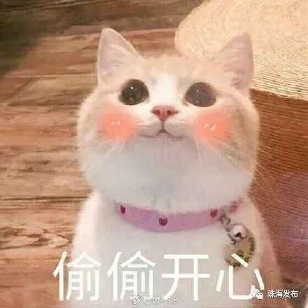  靓过情侣路珠海将打造华南最具魅力和风情的滨海路