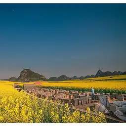 2020罗平油菜花景区门票,罗平罗平油菜花景区游玩攻略,罗平油菜花景区游览攻略路线地址门票价格
