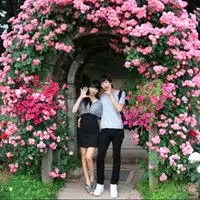  好看的情侣头像一对两张最新的情侣头像一男一女