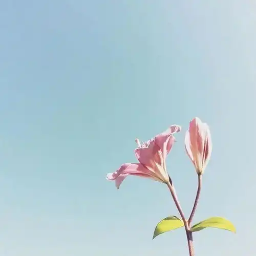  早安积极向上的励志短句,充满阳光的正能量句子