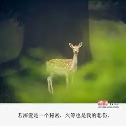 文字控情话伤感短句文字句子堆糖,美好生活研究所 文字控情话伤感短句文字句子堆糖,美好生活研究所