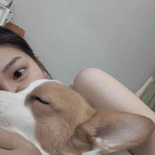  一组巨好看的头像合集,请签收