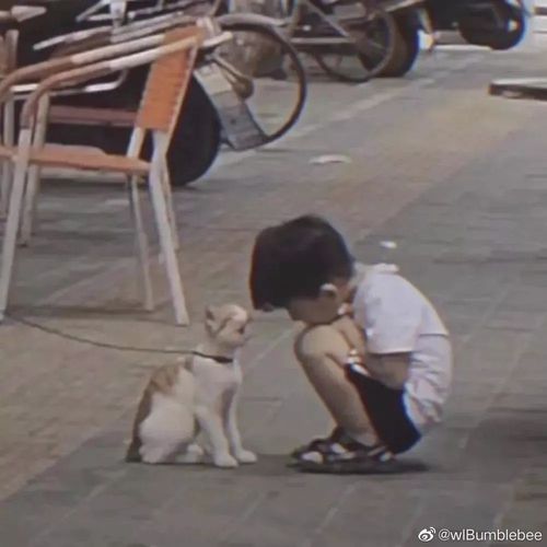  骗你生娃系列人类幼崽到底有多可爱