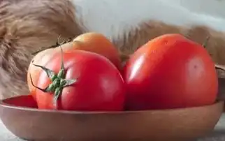  新年红红火火,一整颗大番茄的猫咪料理