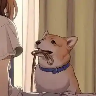  第六期对象不是人系列情侣头像