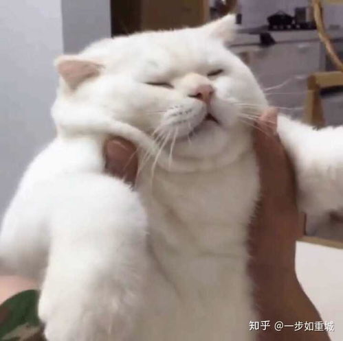  能否科学的解释下为什么会做同样梦