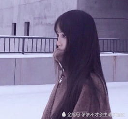抱的情侣头像表情