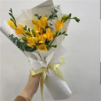  520唯美花背景图鲜花送给最爱风景静物头像我要个性网