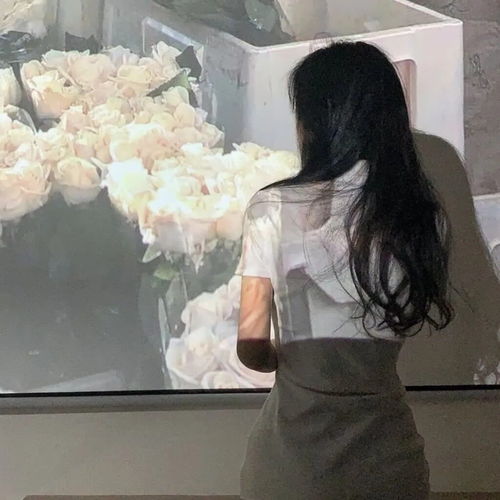  情头玫瑰是我偷的,但爱你是真的