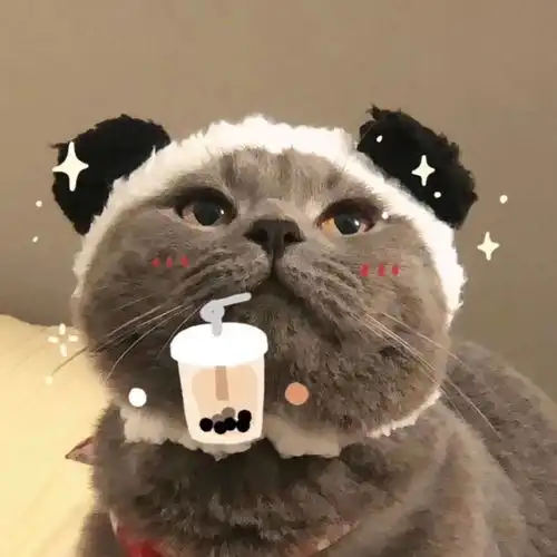  小众可爱情侣头像