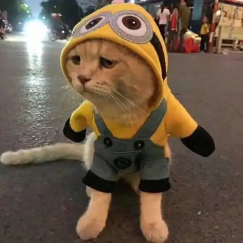  情头六一朋友圈