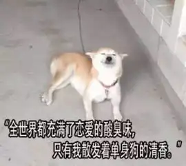 单身狗薯片情侣头像不过