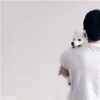  犯二青年情侣头像我怕黑你是光