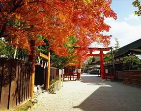  下鸭神社全景网