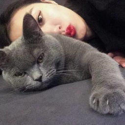 最近火的猫咪情侣头像女