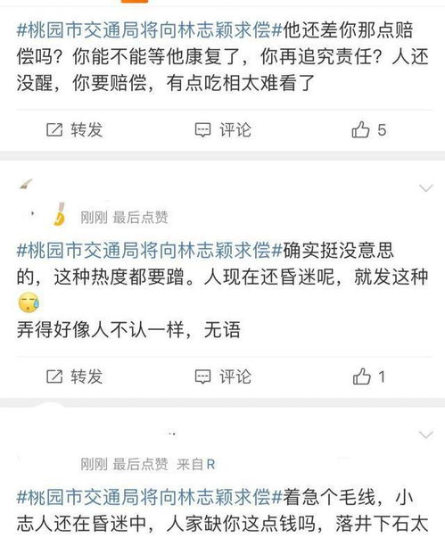  林志颖本人尚未清醒,就被交通队追责,网友称有些不近人情