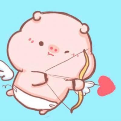  素材收藏夹