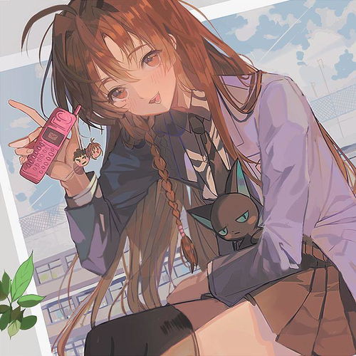  套图