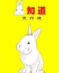  80兔的单身情人节