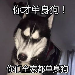  下月起,这些事情关乎每个银川人赶紧看