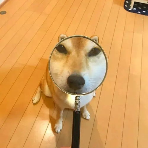 黑暗隐藏情侣头像图片大