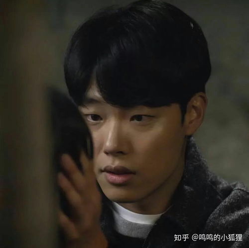  等风来亦等你来