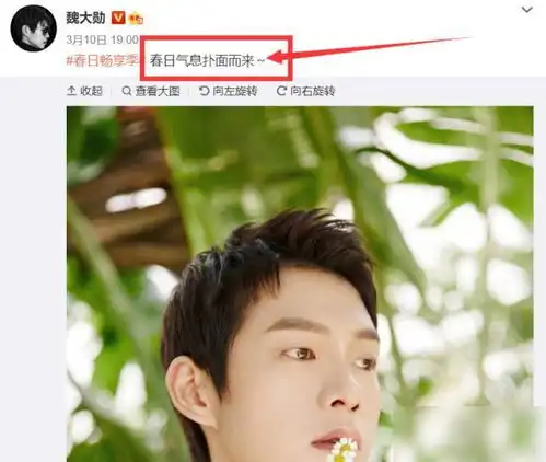  杨幂魏大勋商量好的同时发布好消息,情侣文案让粉丝嗑到了