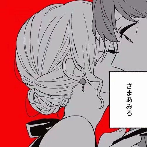  我的收藏夹
