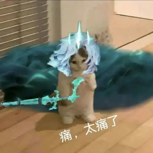  热梗百科痛,太痛了是什么梗